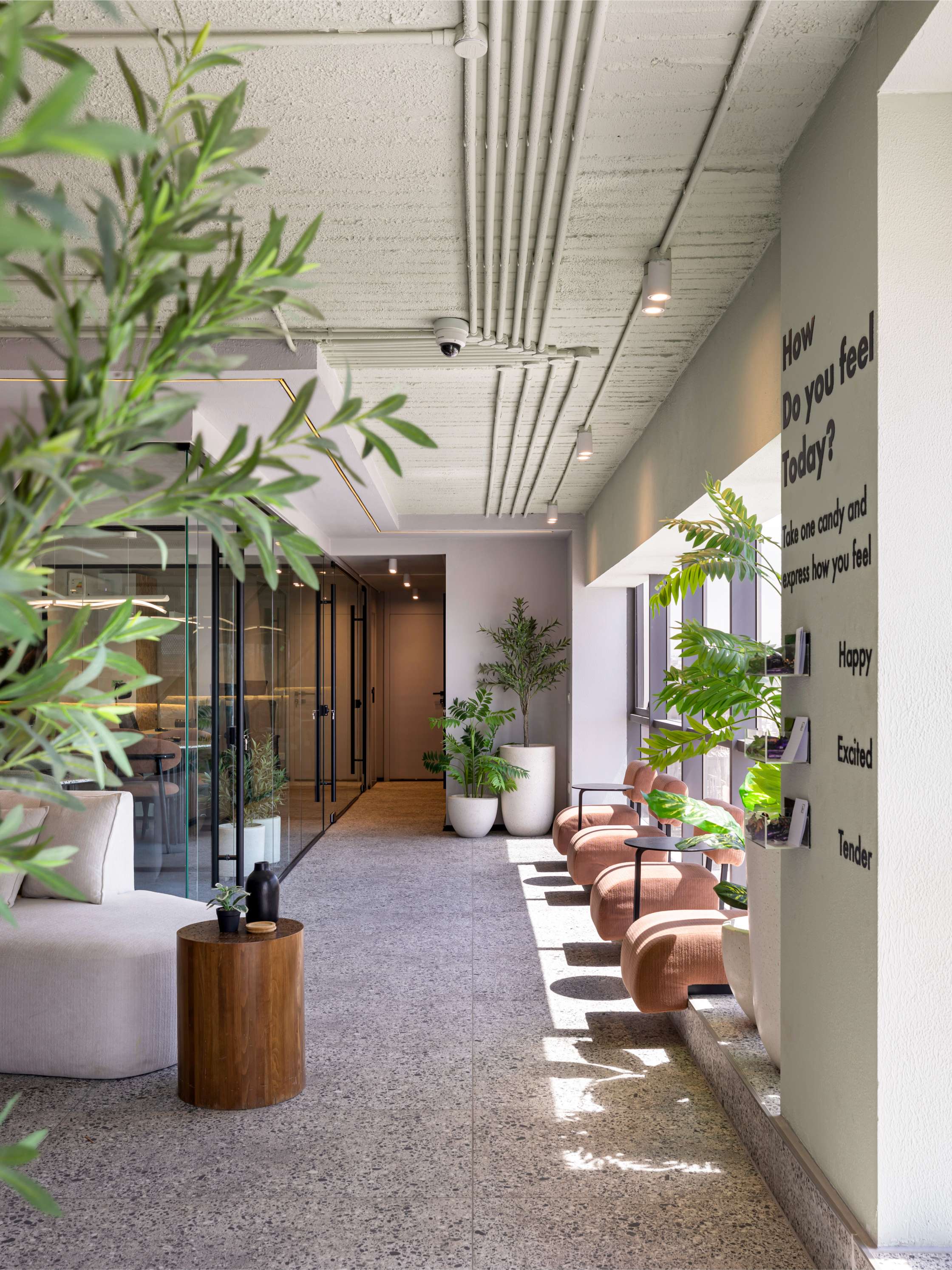 TDH Office